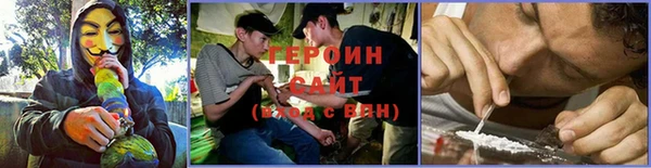 прущие грибы Наволоки