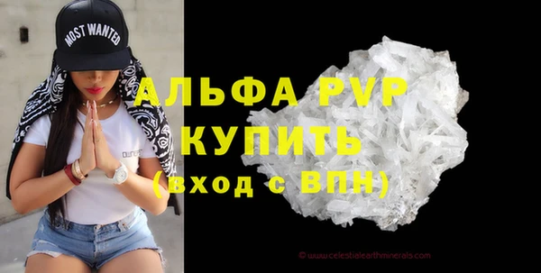 прущие грибы Наволоки