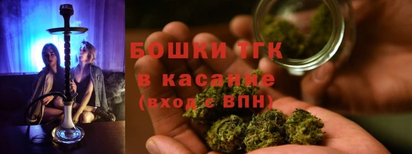 прущие грибы Наволоки