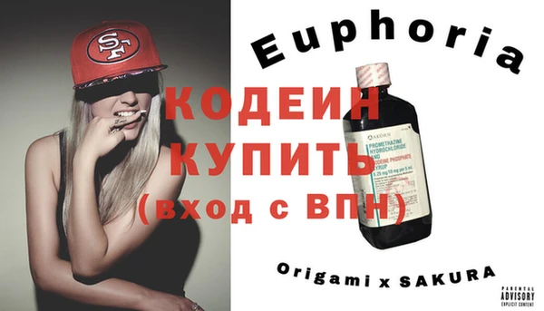 прущие грибы Наволоки