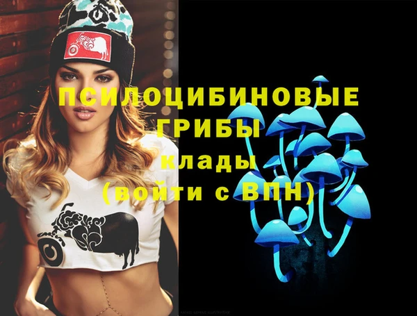 прущие грибы Наволоки