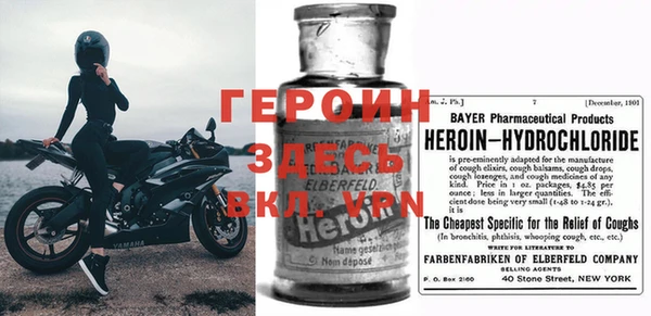 прущие грибы Наволоки
