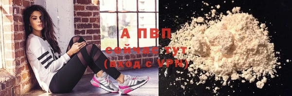 прущие грибы Наволоки