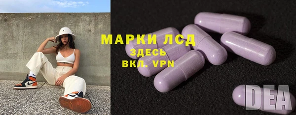 прущие грибы Наволоки